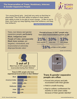 The Incarceration of Trans, Nonbinary, Intersex & Gender Expansive People (infographic)